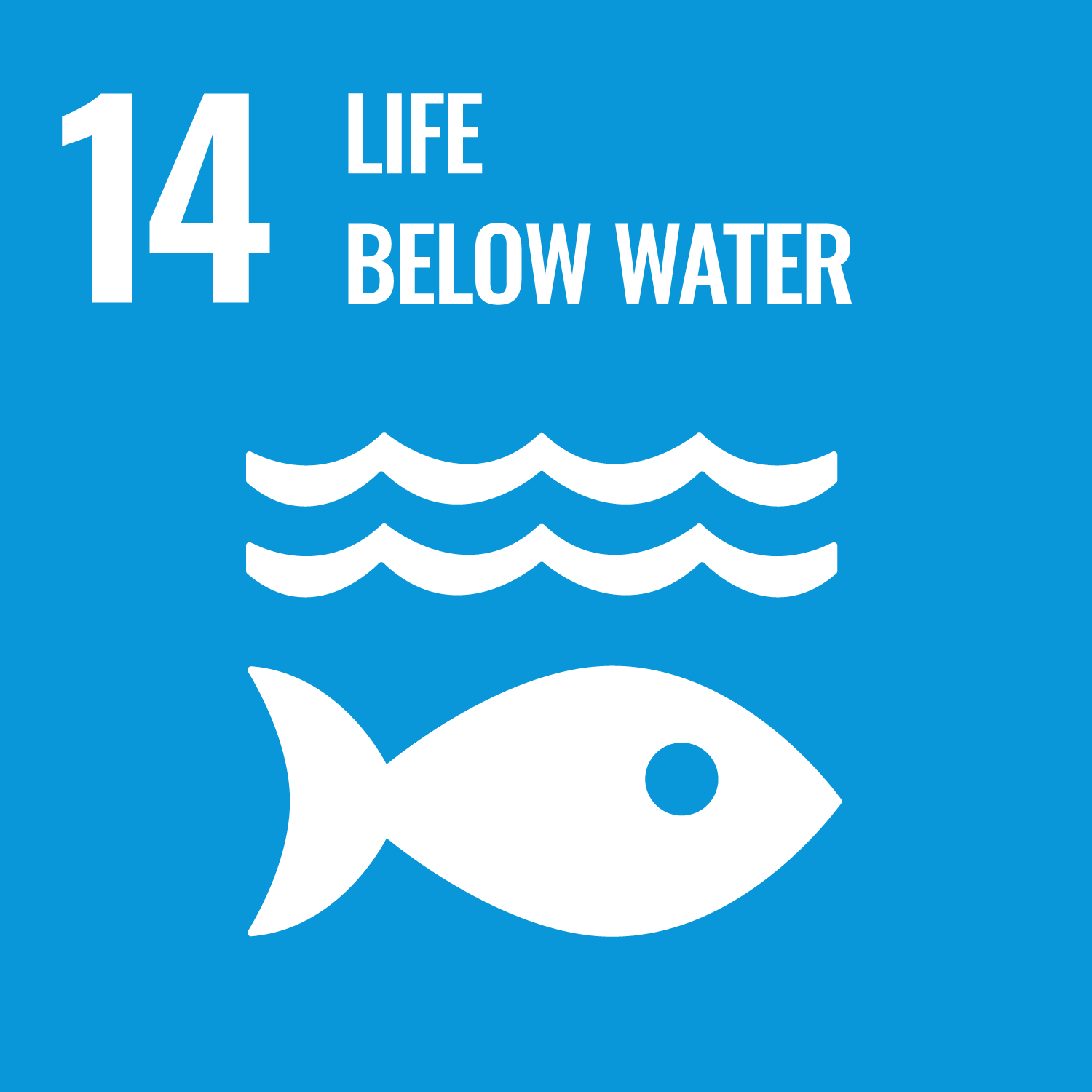 #14 Life Below Water