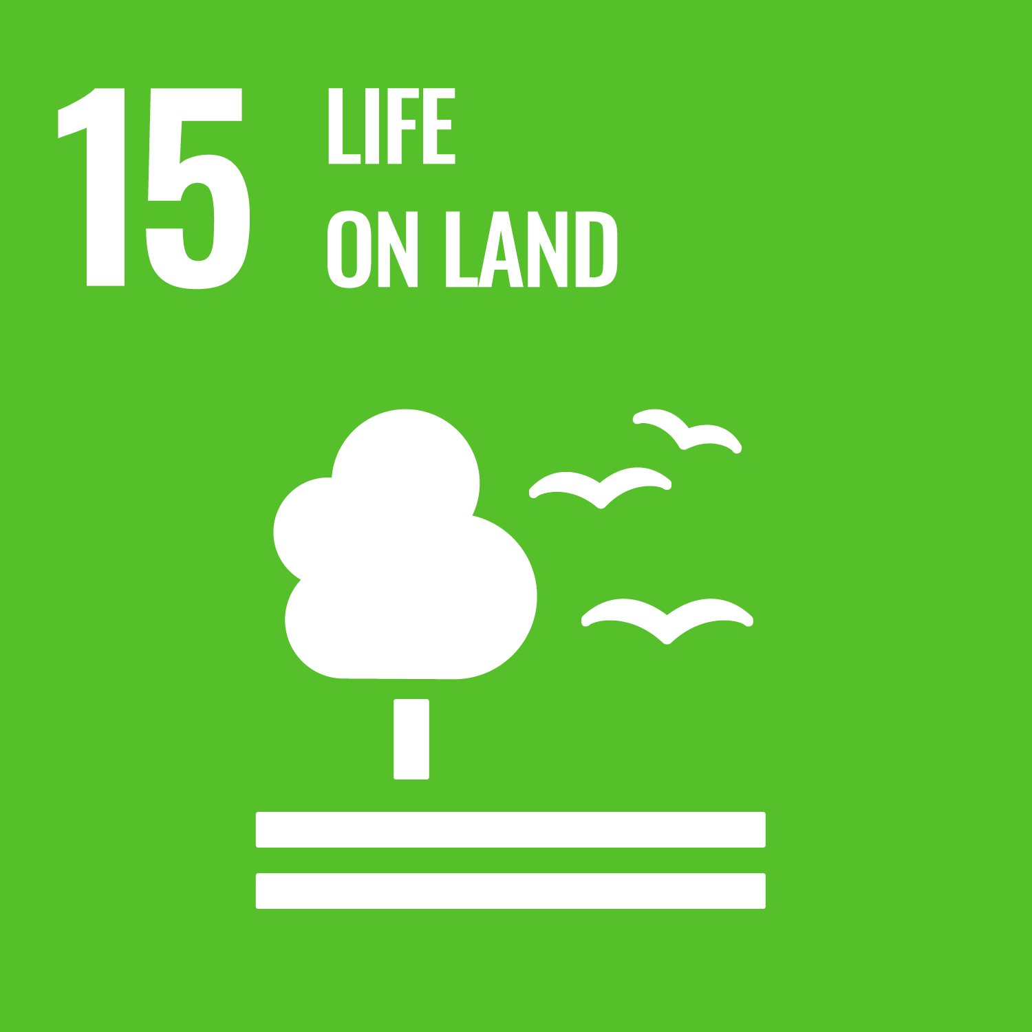 #15 Life on Land