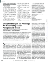 Drosophila life span and physiology are modulated by sexual perception and reward