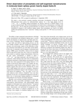 Direct observation of precipitates and self-organized nanostructures in molecular-beam epitaxy grown heavily doped GaAs:Si