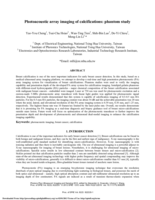 Photoacoustic array imaging of calcifications: Phantom study