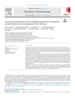 Ascorbic acid ameliorates corneal endothelial dysfunction and enhances cell proliferation via the noncanonical GLUT1-ERK axis