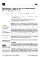 Cell-penetrating delivery of nitric oxide by biocompatible dinitrosyl iron complex and its dermato-physiological implications
