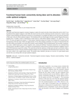 Functional human brain connectivity during labor and its alteration under epidural analgesia