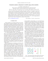 Dynamical symmetry enlargement in metallic zigzag carbon nanotubes