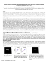 Multi-Slice Absolute Cerebral Blood Volume Quantification on Animal Model Using a Hybrid Method of Vascular Space Occupancy and Susceptibility Effect of MION