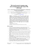 THz interferometric imaging using subwavelength plastic fiber based THz endoscopes