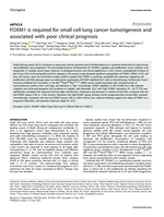 FOXM1 is required for small cell lung cancer tumorigenesis and associated with poor clinical prognosis