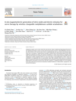 In situ magnetoelectric generation of nitric oxide and electric stimulus for nerve therapy by wireless chargeable molybdenum carbide octahedrons