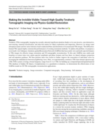 Making the invisible visible: Toward high-quality terahertz tomographic imaging via physics-guided restoration