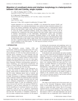 Migration of constituent atoms and interface morphology in a heterojunction between CdS and CuInSe2 single crystals