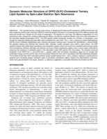 Dynamic molecular structure of DPPC-DLPC-cholesterol ternary lipid system by spin-label electron spin resonance.