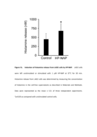 Helicobacter pylori neutrophil-activating protein induces release of histamine and interleukin-6 through G protein-mediated MAPKs and PI3K/Akt pathways in HMC-1 cells
