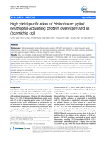 High yield purification of Helicobacter pylori neutrophil-activating protein overexpressed in Escherichia coli