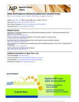 Giant birefringence induced by plasmonic nanoslit arrays