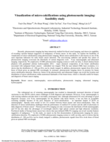 Visualization of micro-calcifications using photoacoustic imaging: Feasibility study