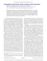 Photostability of amino acids: Internal conversion versus dissociation