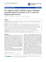 The adaptor protein SH2B1β reduces hydrogen peroxide-induced cell death in PC12 cells and hippocampal neurons