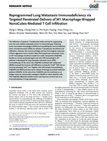 Reprogrammed Lung Metastasis Immunodeficiency via Targeted Penetrated Delivery of M1 Macrophage-Wrapped NanoCubes-Mediated T Cell Infiltration