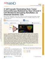 A Self-Cascade Penetrating Brain Tumor Immunotherapy-Mediated by Near-Infrared-II Cell Membrane-Disrupting Nanoflakes via Detained Dendritic Cells