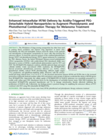 Enhanced Intracellular IR780 Delivery by Acidity-Triggered PEG-Detachable Hybrid Nanoparticles to Augment Photodynamic and Photothermal Combination Therapy for Melanoma Treatment