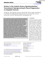 Wireless In Situ Catalytic Electron Signaling‐Mediated Transcriptomic Reprogramming for Neuron Regeneration via Adaptable Antennas