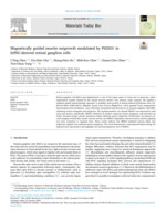 Magnetically guided neurite outgrowth modulated by PIEZO1 in hiPSC-derived retinal ganglion cells