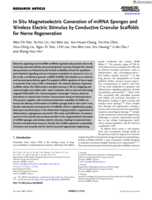 In Situ Magnetoelectric Generation of miRNA Sponges and Wireless Electric Stimulus by Conductive Granular Scaffolds for Nerve Regeneration