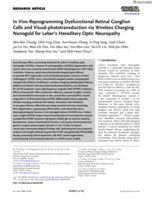 In Vivo Reprogramming Dysfunctional Retinal Ganglion Cells and Visual-phototransduction via Wireless Charging Nanogold for Leber's Hereditary Optic Neuropathy