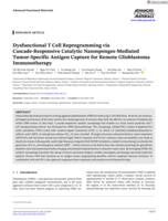 Dysfunctional T Cell Reprogramming via Cascade-Responsive Catalytic Nanosponges-Mediated Tumor-Specific Antigen Capture for Remote Glioblastoma Immunotherapy