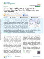 Innovative MXene/SilMA-Based Conductive Bioink for Three Dimensional Bioprinting of Neural Stem Cell Spheroids in Neural Tissue Engineering