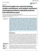 Structural insights into substrate binding, residue contributions, and catalytic mechanism of phosphopantetheine adenylyltransferase from Helicobacter pylori