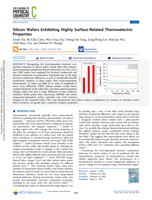 Silicon Wafers Exhibiting Highly Surface-Related Thermoelectric Properties