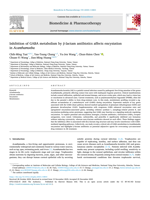 Inhibition of GABA metabolism by β-lactam antibiotics affects encystation in Acanthamoeba