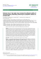 Calcium ions in tap water may increase the adhesion ability of Acanthamoeba, potentially enhancing its cytopathic effects on corneal cells