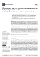 Development of an Ex Vivo Porcine Eye Model for Exploring the Pathogenicity of Acanthamoeba