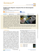 Flexible Ferrite Magnetic Composite Films for Electromagnetic Applications