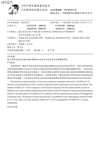 嵌合型新型冠狀病毒的類病毒顆粒的疫苗組合物及其表達載體與用途