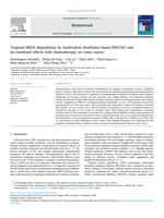 Targeted BRD4 degradation by multivalent dendrimer-based PROTAC and  its combined effects with chemotherapy on colon cancer